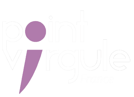 logo Point Virgule France